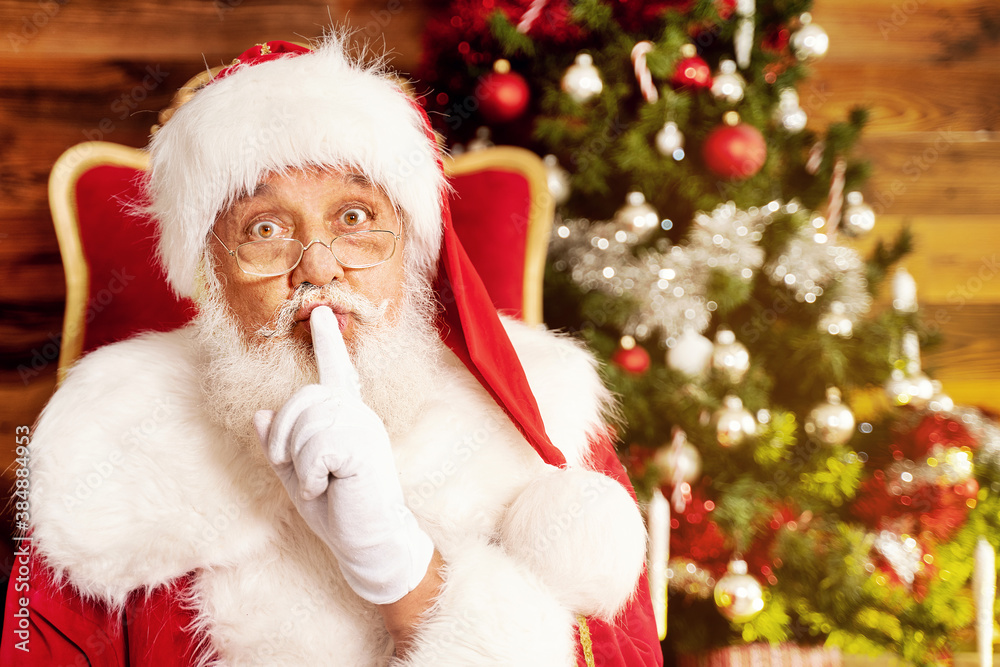Real Santa Claus with gifts and Christmas tree. Real Santa Claus with gifts and Christmas tree.