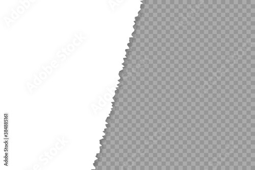Torn paper edge PNG. Infographic vector illustration. Teared, ripped photo, sheet or page texture. Collage of 2 images
