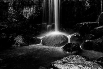 Tuinposter Zwart wit Wilde waterval in dicht bos  © pyty
