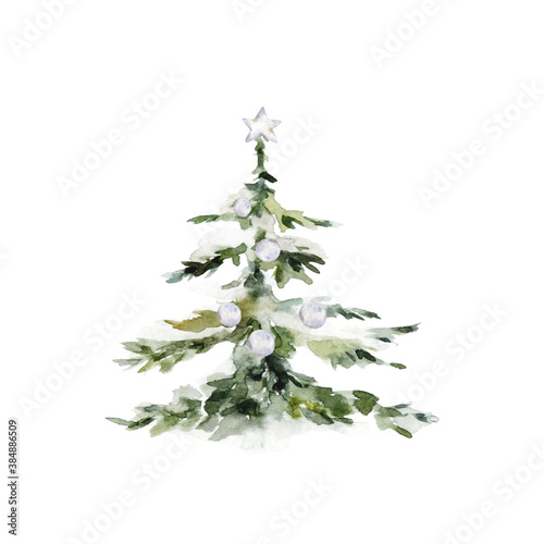 Forest tree. Set spruce trees isolated on white background. © Anna Terleeva