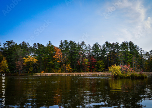 autumn landscape with lake and trees
Lake Shaftsbury Vermont