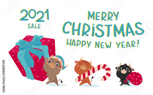 Christmas sale design template.Christmas banner.Xmas cute bulls with giant gift, holiday candy and bag of gifts.New year design of poster, card, headers website.Vector cartoon illustration with font.