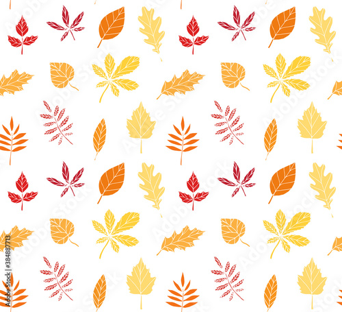 Vector seamless pattern of colored hand drawn doodle sketch leaves isolated on white background