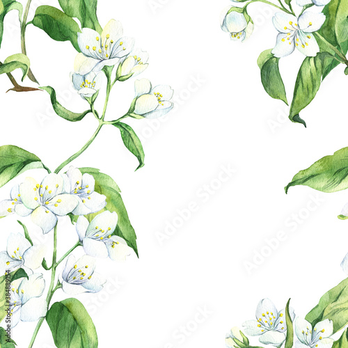 Watercolor seamless pattern with white jasmine  green leaves  botanical painting  floral painting   aroma fragrance  wrapping paper  textile  wallpaper   perfume  stock illustration.