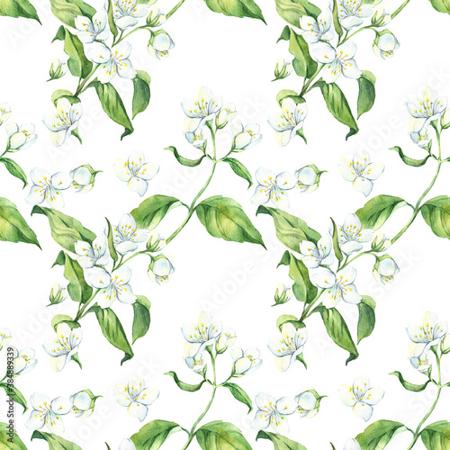Watercolor seamless pattern with white jasmine, green leaves, botanical painting, floral painting,  aroma fragrance, wrapping paper, textile, wallpaper, 
perfume, stock illustration.