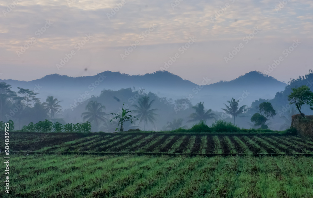 landscape with fog in Temanggung, Central java, Indonesia