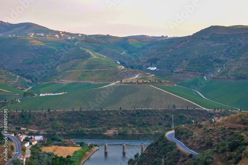 Douro valley with vineyard in summer photo