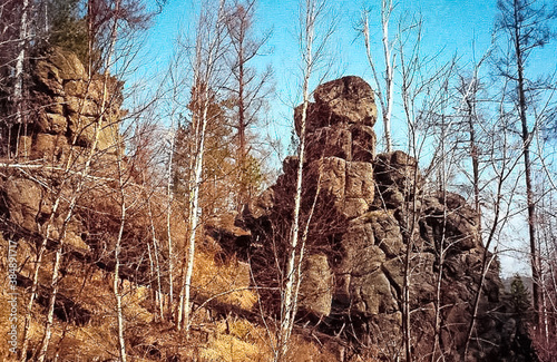 mountains of the sayans. The nature of the mountains is sayan. Vegetation in the mountains photo