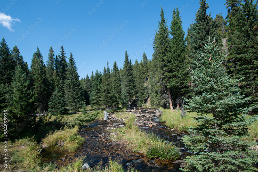 Obraz premium South Clear Creek Campground Trail in Bighorn National Forest, Wyoming. USA. Back to Nature concept.