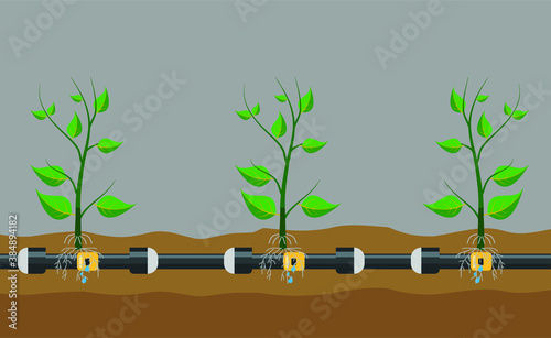 Underground or in ground drip irrigation system. Water irrigation. Automatic sprinklers system. Vector illustration flat design. Smart farming application concept. Saving water and time