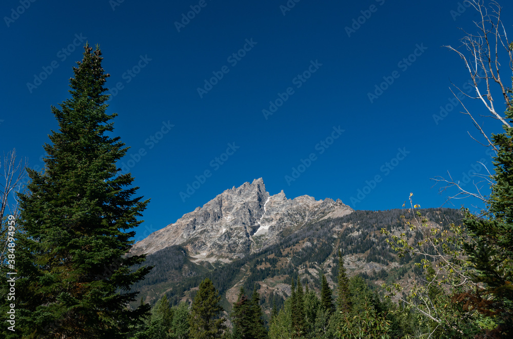 The Teton Range of the Rocky Mountains in North America. Jenny Lake Trail in Grand Teton National Park, Wyoming. USA. Back to Nature concept.