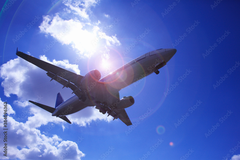 Obraz premium 飛行機