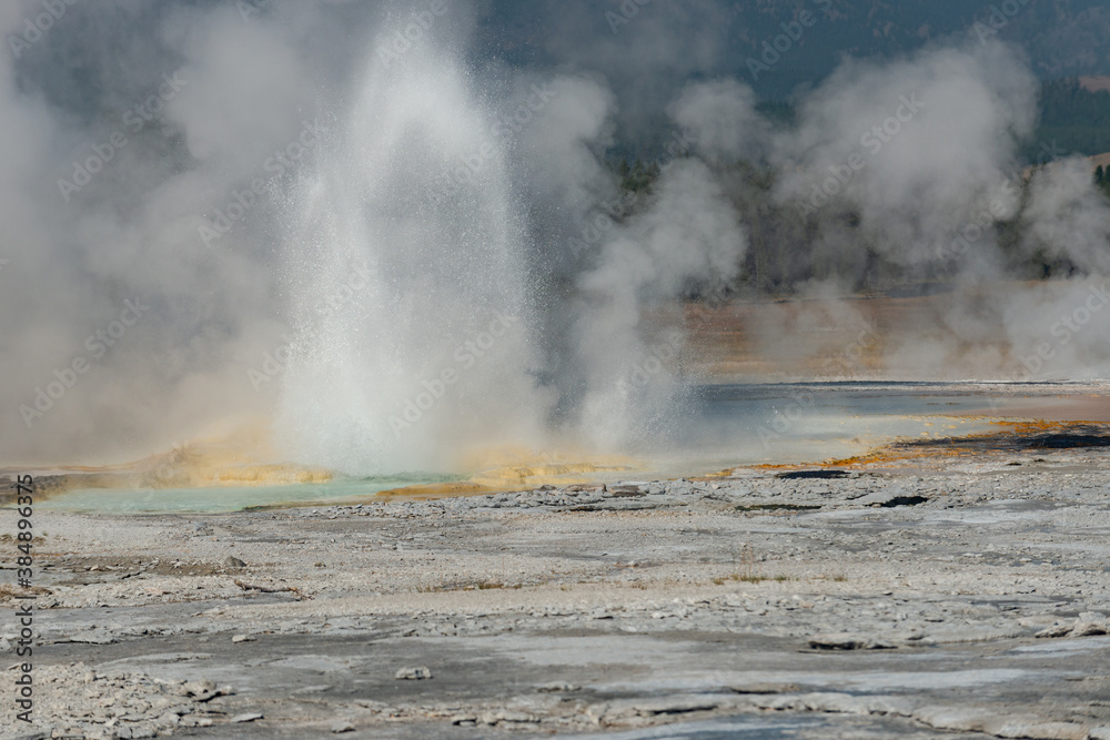 Hot Springs and gushing Geysers at Yellowstone National Park wilderness area atop a volcanic hot spot. USA.
