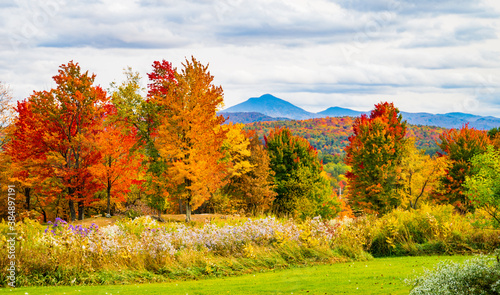 Fototapeta Naklejka Na Ścianę i Meble -  view of Camels Hump Mountain in fall foliage season, in Vermont
