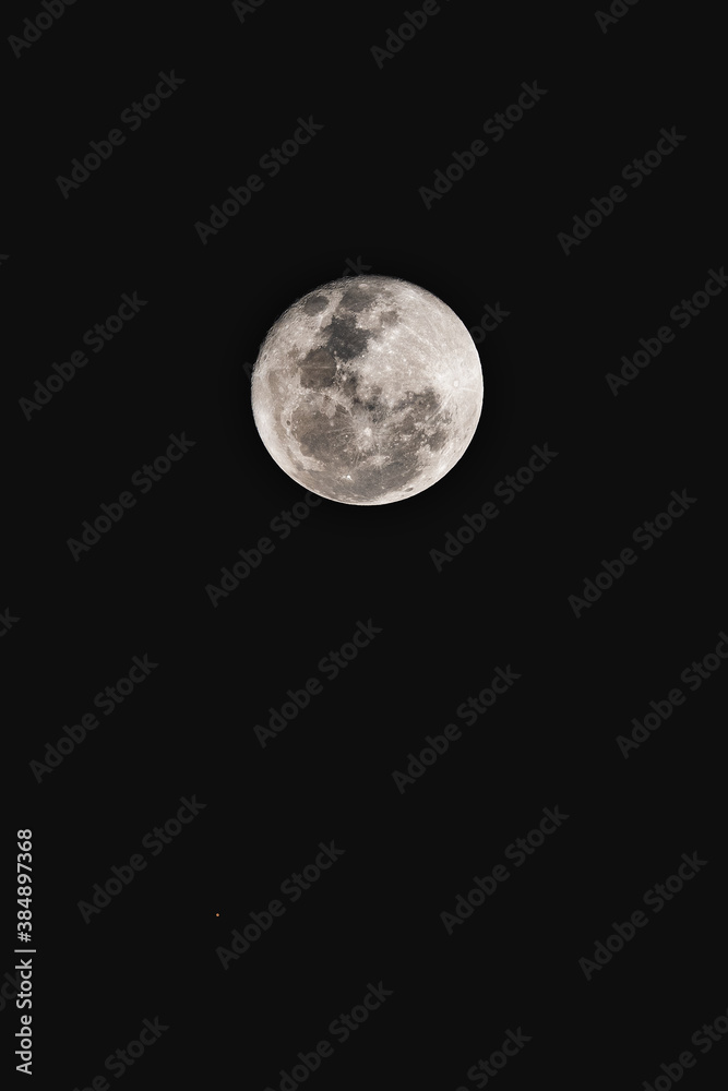 Fototapeta premium full moon in the night