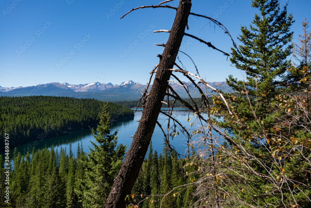 Obraz premium Holland Lake and Falls trail in Flathead National Forest, Montana. USA. Back to Nature concept.