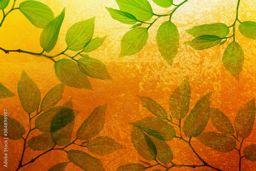 金屏風と新緑のバックグラウンド