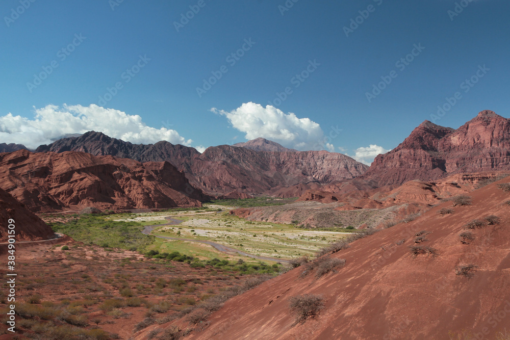 Desert landscape. Geology. View of the beautiful green valley surrounded by the red canyon and mountains under a blue sky.  
