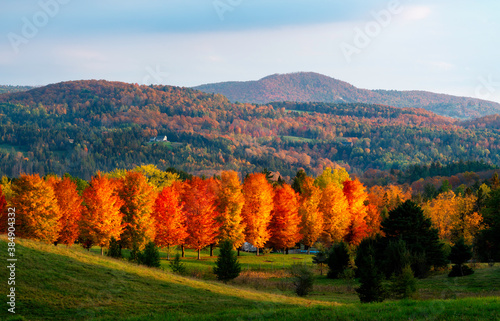 Rolling hills filled with vibrant fall colors of the changing leaves at peak during golden hour with beautiful warm tones and glowing tree line in the foreground and a lone house in the United States
