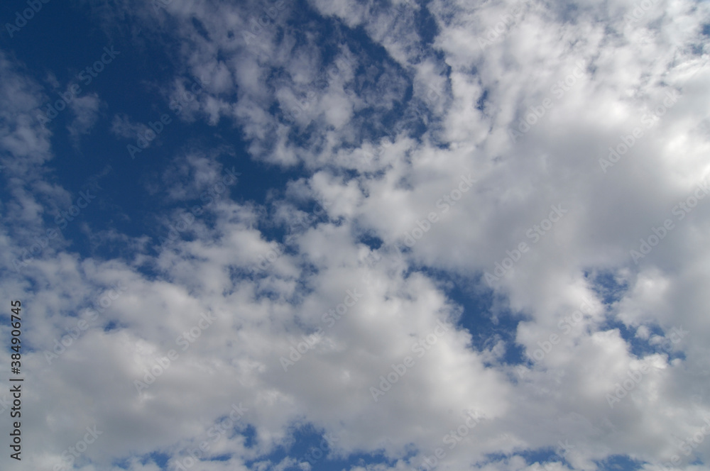 ひつじ雲 ひつじ雲
