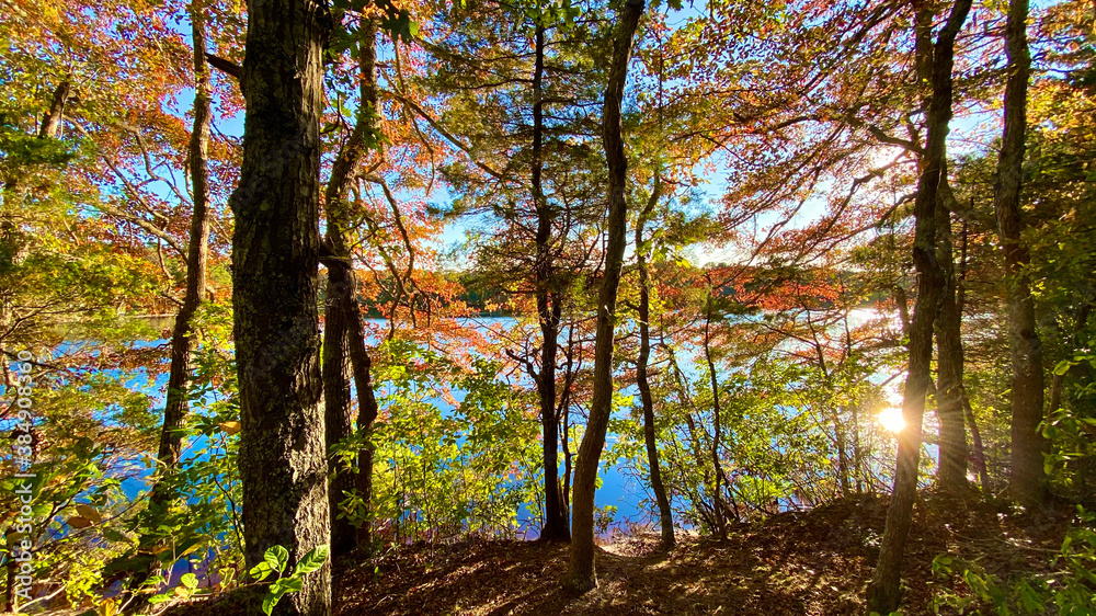 Cape Cod Fall Foliage in New England