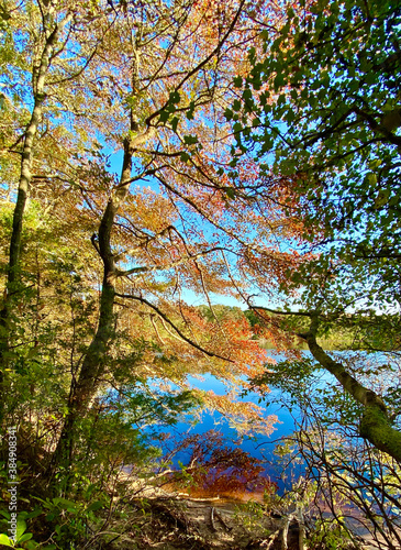 Cape Cod Fall Foliage in New England