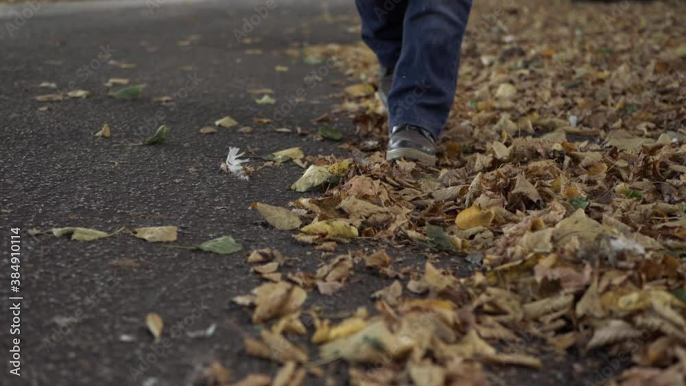 Legs walking through autumn leaves on a lane wide shot Legs walking through autumn leaves on a lane wide shot