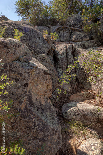 Rock Wall on an Arizona trail