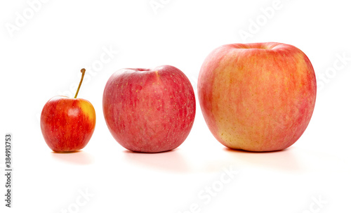 small and medicum and big size apples on a white background photo