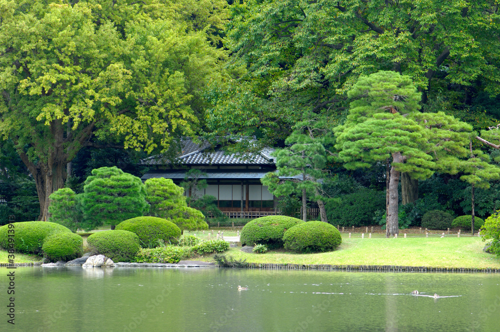 Obraz premium 日本庭園