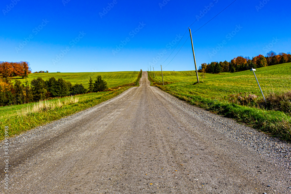 routes et paysages d'automne, tracteur et citrouilles
fall roads and sceneries, farm equipment and pumkins