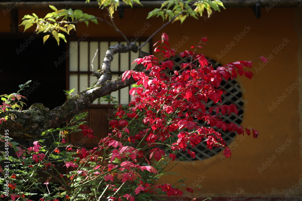 茶室と赤く色づく葉
