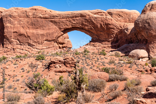 Desert landscape - Arches National Park