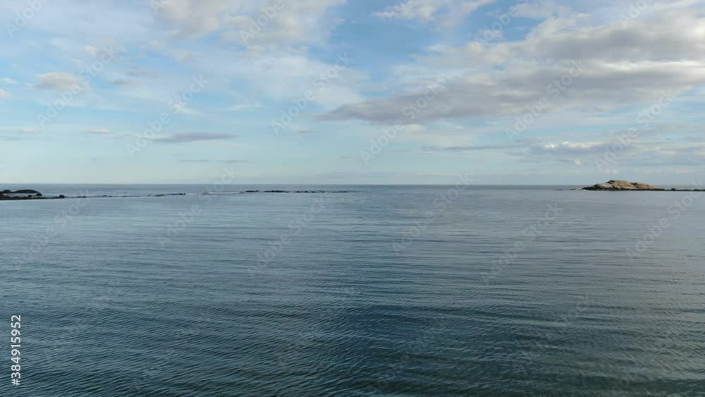 Seabirds On The Beach Near The Shore With Calm Blue Sea Water - fast drone shot, low aerial Seabirds On The Beach Near The Shore With Calm Blue Sea Water - fast drone shot, low aerial