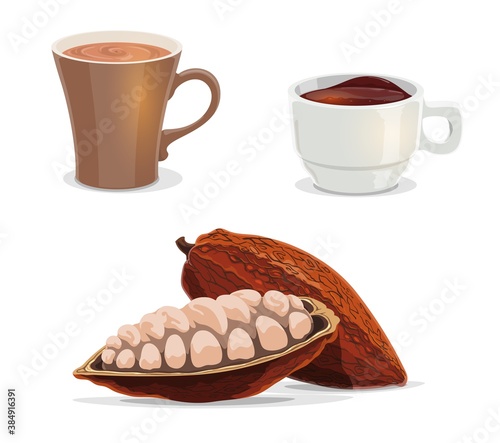 Cocoa beans, cacao, hot chocolate or coffee cartoon vector of food and drink. Fruit of cocoa tree with raw seeds and pod, cup and mug of hot beverages with milk and sugar