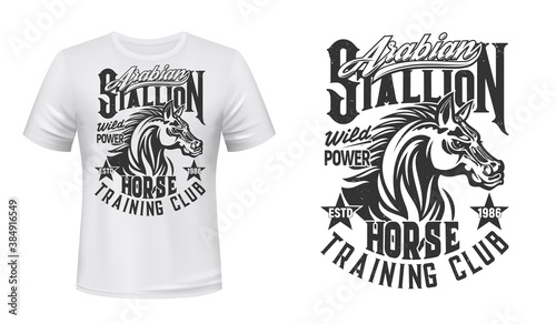 Horse training, equestrian club t-shirt vector print. Arabian stallion head with waving mane engraved retro illustration and grungy typography. Horse riding club apparel custom design print mockup