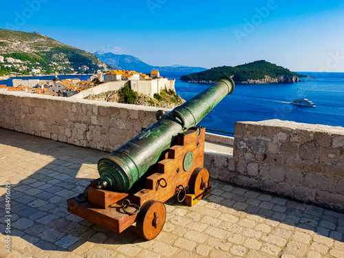 cannon in the fortress