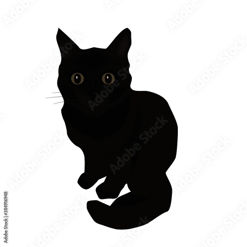 кот