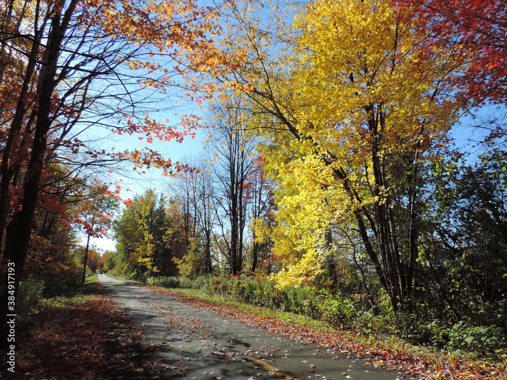 Fototapeta premium Beautés automnales
