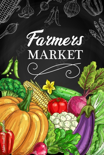 Farmers market vegetables chalkboard banner. Cucumber, beetroot and salad, tomato, pea and corn, cauliflower, broccoli and pumpkin sketch vector. Vegetable farm fresh greenery and veggies poster