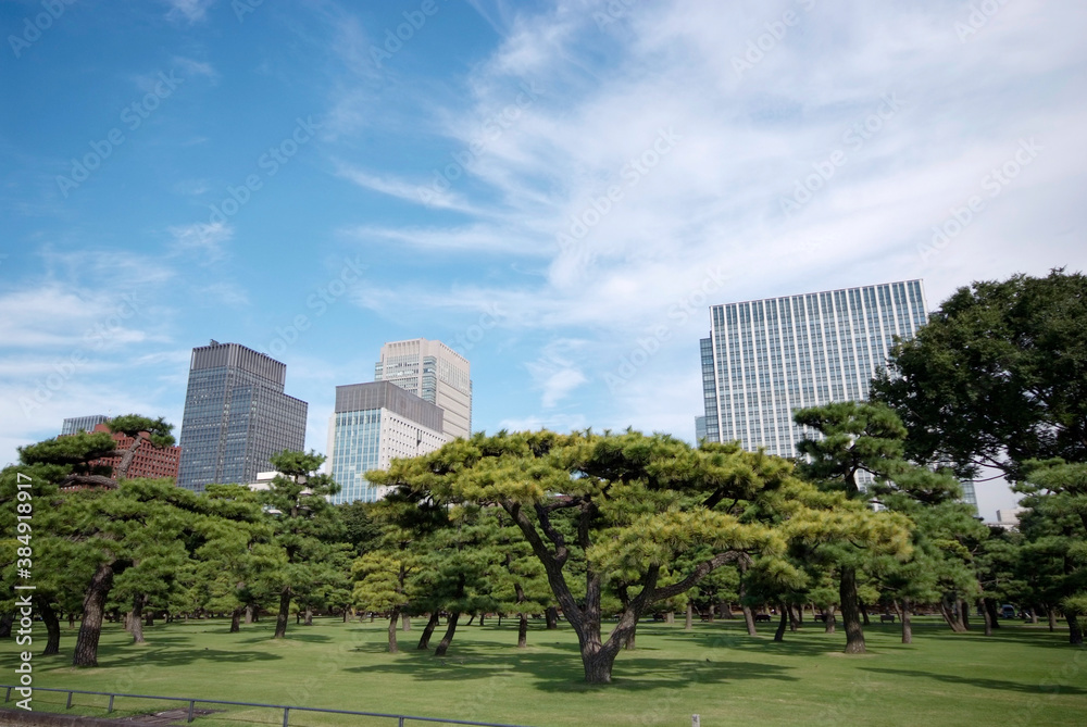 皇居外苑と大手町のビル群(東京都千代田区) 皇居外苑と大手町のビル群(東京都千代田区)