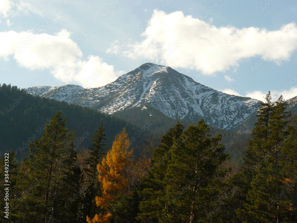 Fototapeta premium mount hood state