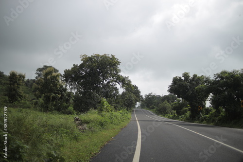 Foggy Straight Redwood Highway in India.