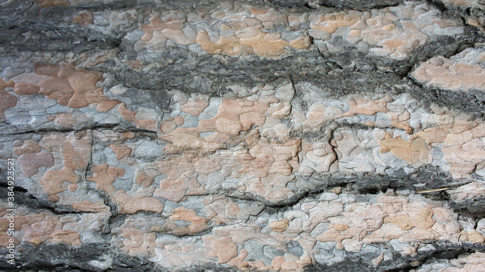 Obraz premium stone wall background