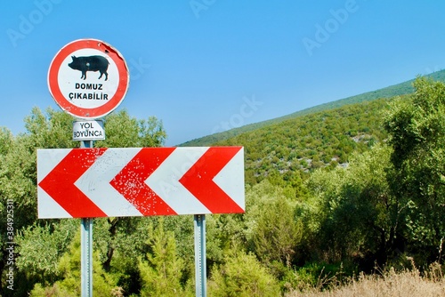 road sign to warn the drivers of possible pig/boar crossing in the Aegean Sea area Turkey. Translation: “Wild pig/boar crossing. All the way." copy space