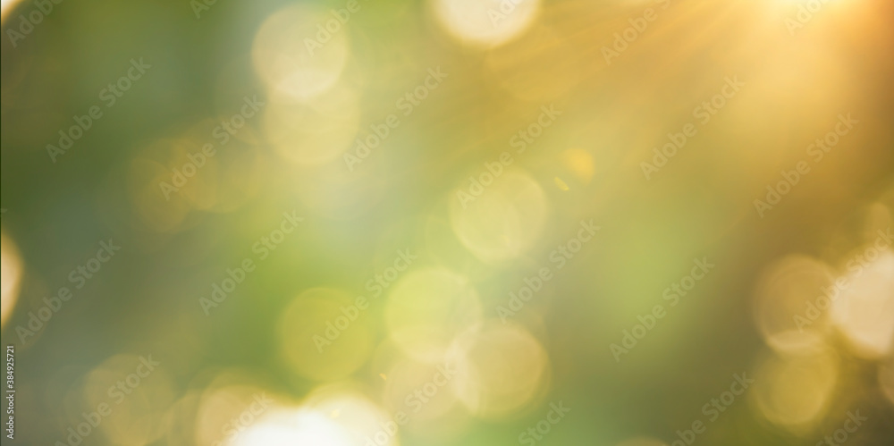 Obraz premium Blurred soft green bokeh rays sunright abstract backgrounds