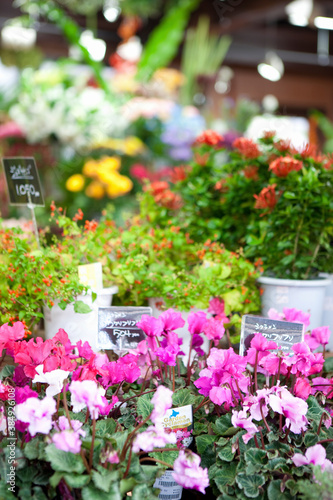 Wallpaper Mural 花屋さん Torontodigital.ca