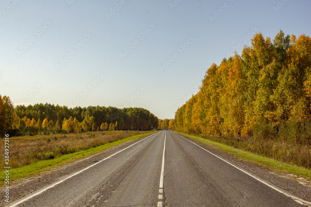 The road through the autumn forests and fields. The two-lane highway runs through golden autumn forests and fields.