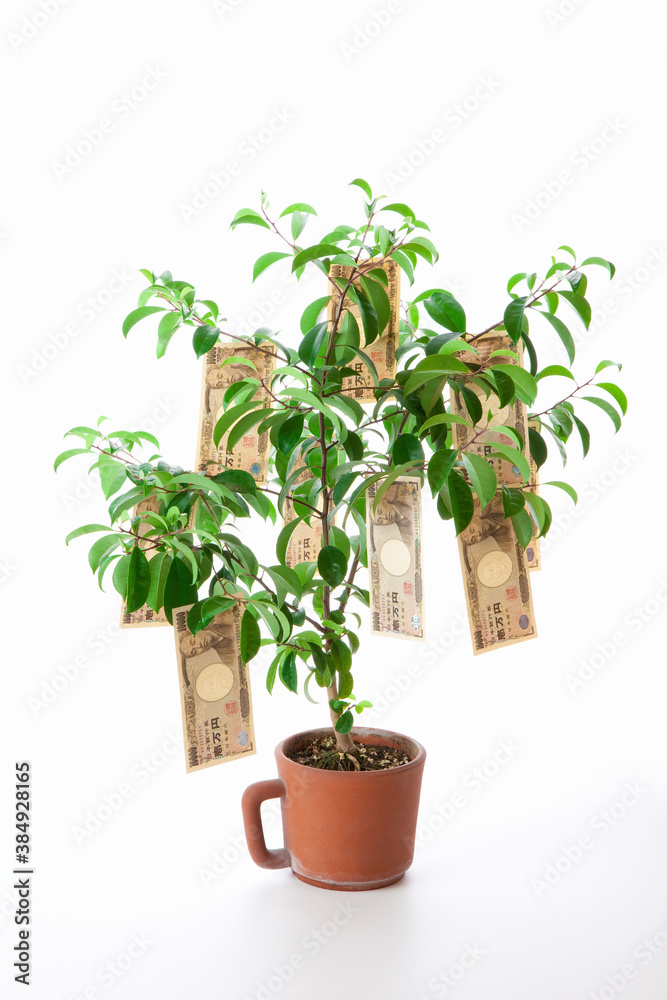 Obraz premium 金の成る木