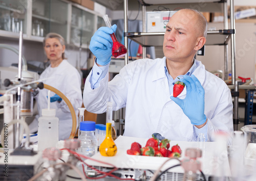 Professional geneticist working in laboratory, conducting experiments with genetically modified fruits and vegetables